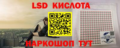 spice Славгород