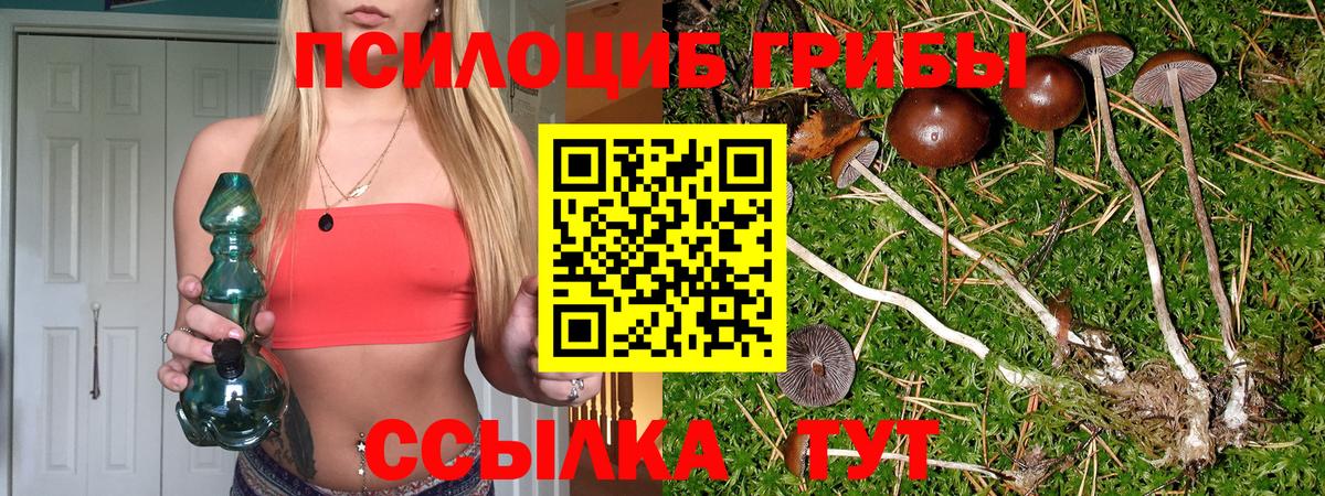 Псилоцибиновые грибы прущие грибы Полысаево