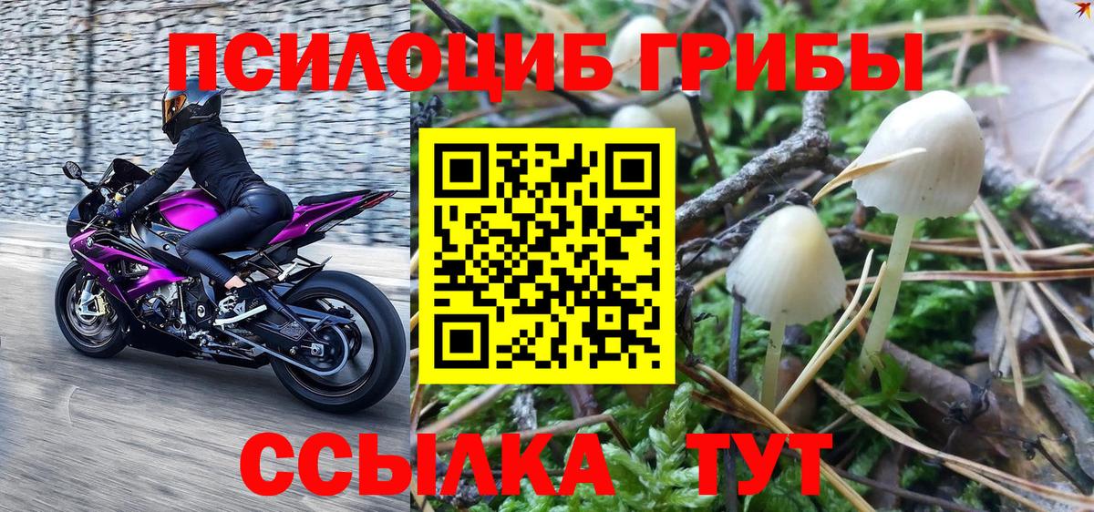 Полысаево  Псилоцибиновые грибы GOLDEN TEACHER  Вход с VPN  Псилоцибиновые грибы ЛСД 