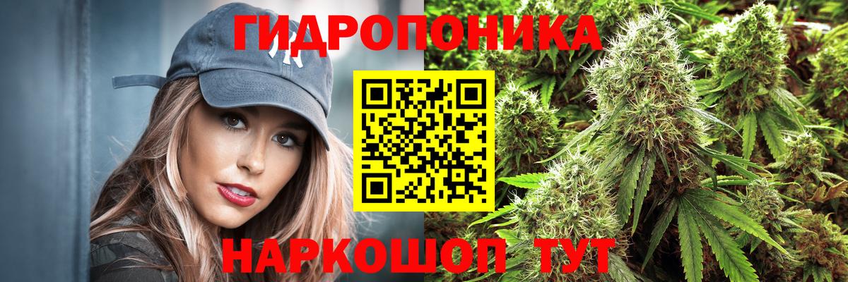 Полысаево  МАРИХУАНА сатива  Вход с VPN  Бошки марихуана семена 